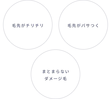 ダメージヘアで悩んでいる方に選ばれているダメージの３つの例を解説した画像