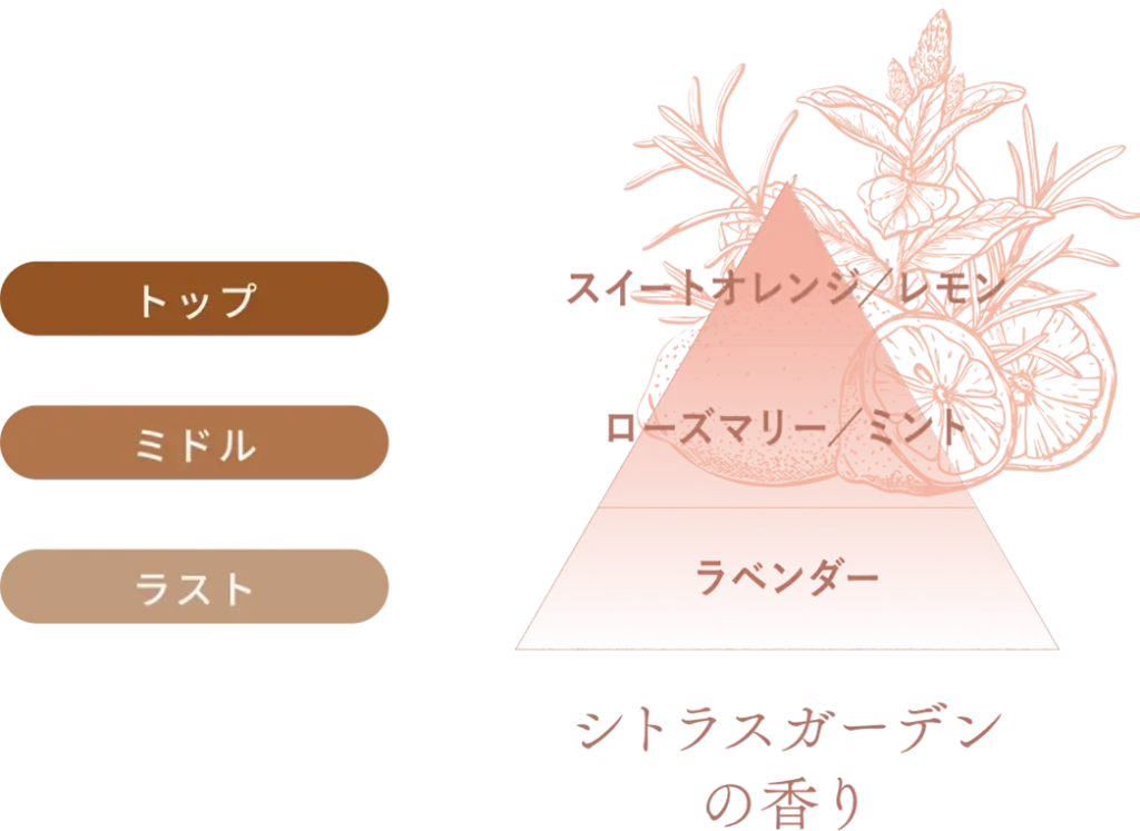 シトラスガーデンの香りをヒエラルキー構造で示した画像