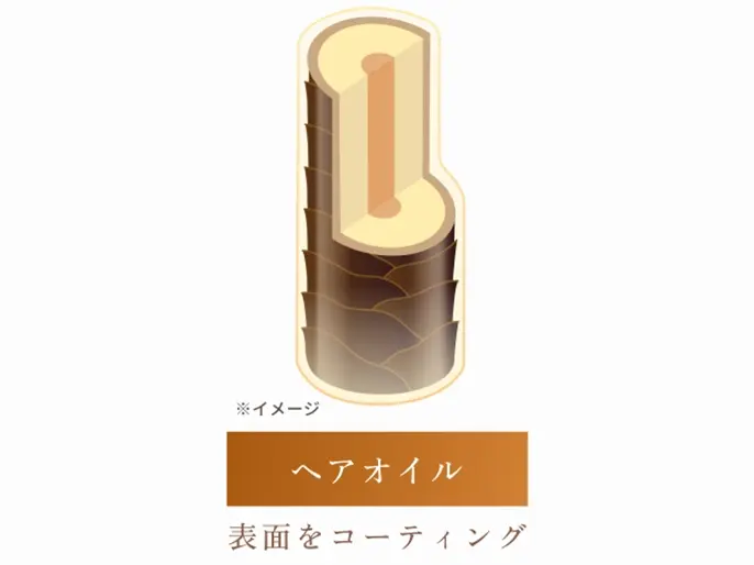 ドライヤー後のオイル有/無比較を解説するための表面コーティングを示した髪のイラスト画像