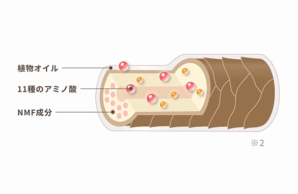 髪の保湿状態を解説する画像